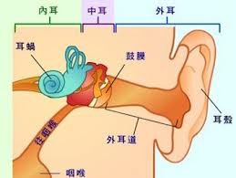 什么是美尼尔综合症